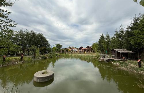 Agroturystka Jaśkowo - Foto 29