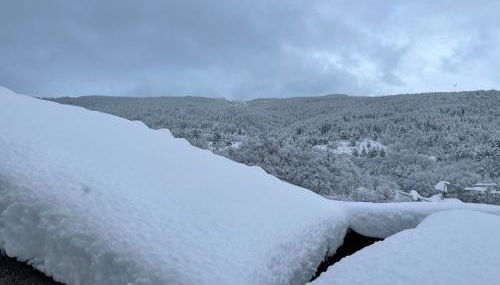 Large family - Foto 5