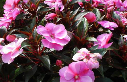 Europa Residenz Premium Suite - Foto 35