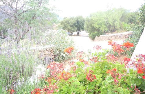 Agriturismo Camisadu - Foto 70