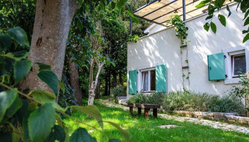 Holiday Home Mikula - Foto 2, Garden