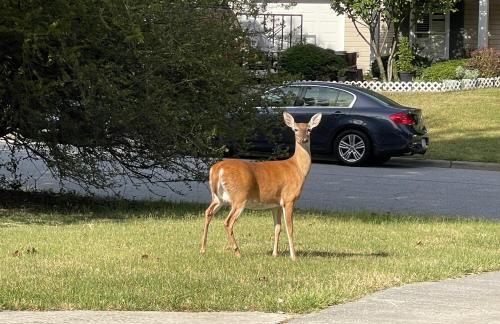 Wayne's Place-Hot tub, pet friendly. Close to HPU - Foto 22
