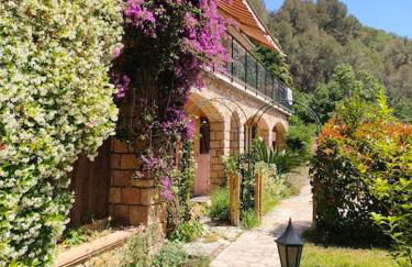 Un brin de paille - Foto 6