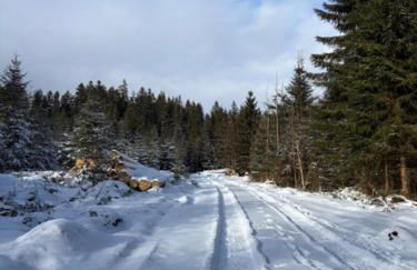 Ferienhaus am Bächle - Foto 31