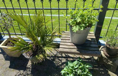 Ferienwohnung an der Berkelquelle - Foto 12