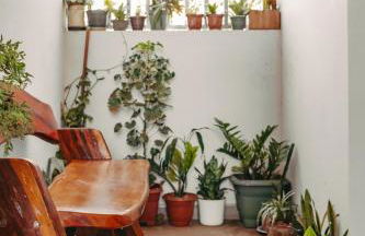 Residencial Jasmim Apto Standard 05 - Foto 7