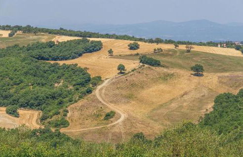 La Casina Del Melograno - Foto 5