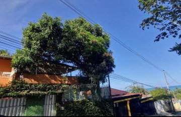 Vila Amélia Olinda - Terraço panorâmico com vista para o mar - Foto 3