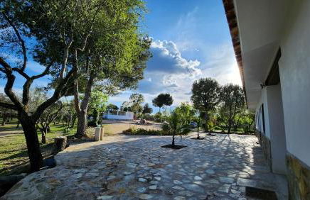 Agroturismo Viña Inés Toledo - Photo 25