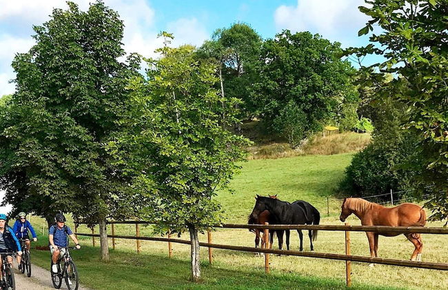 4 Person Holiday Home in Stjarnhov - Foto 8