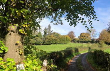 The Cottage - Foto 21