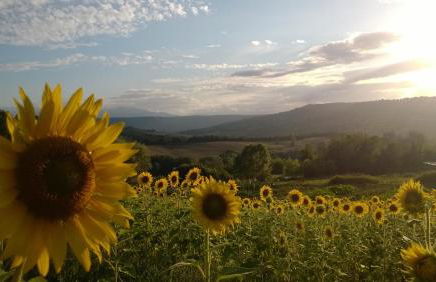 Agriturismo La Vecchia Fattoria - Foto 70