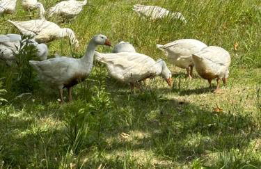 Apartamenty nad morzem Przy Klifie 2 Dębina - Foto 75