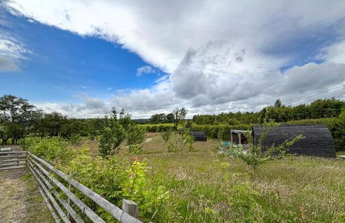 The Hedgehog Pod - Uk50067 - Photo 16