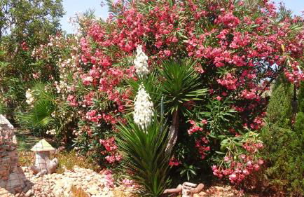 Chalet Atalants Yailja - Foto 19