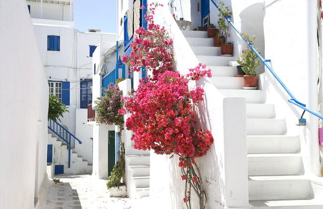 Safari en todoterreno en Mykonos - Foto 8