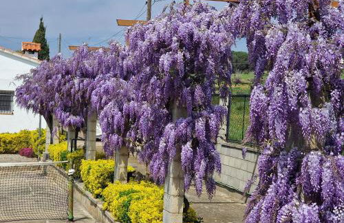 Villa de Gracia Casa 3 - Photo 18