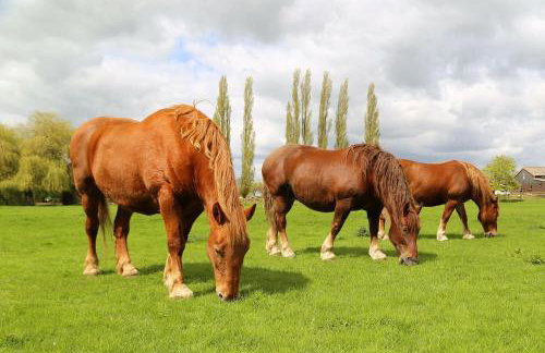 The Round House - Foto 33