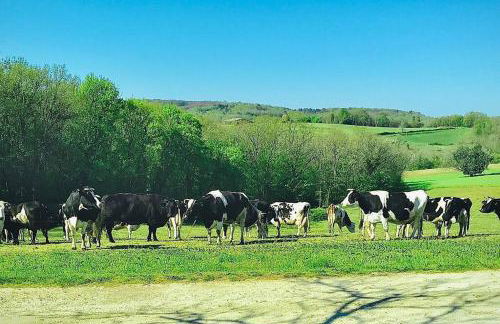 « Le Vieux Hangar » gîte à la ferme - Foto 7