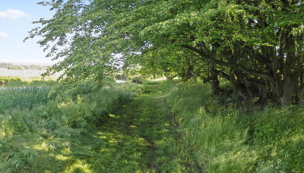 "Beatha" - 25km to the fjord - Foto 4, Place