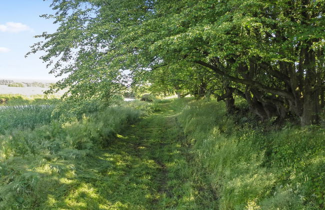 "Beatha" - 25km to the fjord - Foto 4