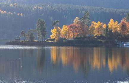 FeWo im Grünen - Foto 12