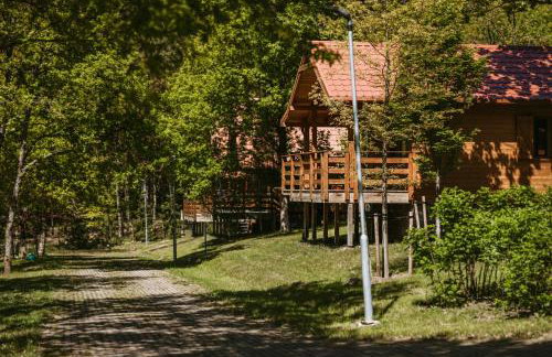 Domki w lesie nad Drawskim - Foto 24