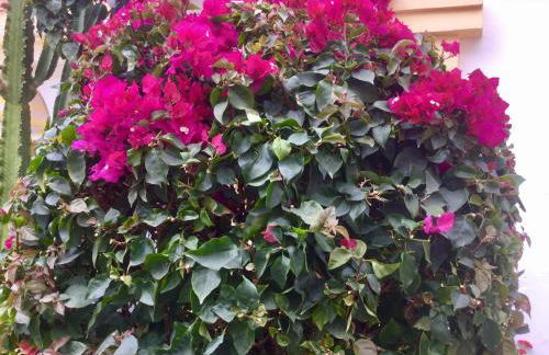 Windsor Panoramic Las Americas - Foto 40