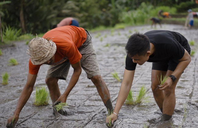 Kaura Bali - Foto 24