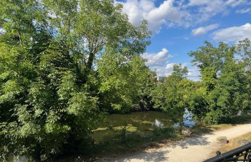 Petit Cocon des Rives Proche Stanislas - Foto 48