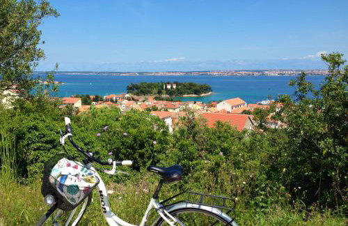 Green oasis Tajči - Photo 30