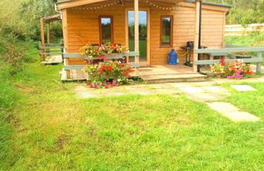 Beautiful Wooden tiny house, Glamping cabin with hot tub 2 - Foto 15