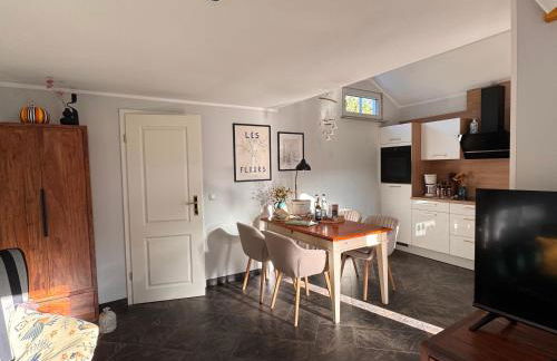 Sunlit Garden - Ruhig am Wald nahe Warnow Rostock - Kamin - Foto 40