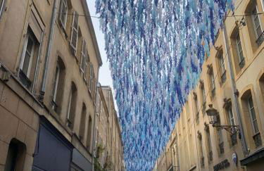 Au petit cœur Messin chaleureux T2 entièrement rénové - Foto 4