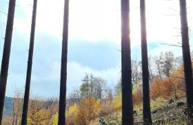 Czereśniowy Dom - Foto 42