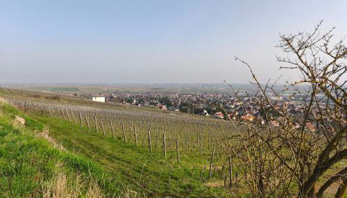 Logement "Le Kelsch" Vignoble proche de Strasbourg avec Sauna - Foto 4