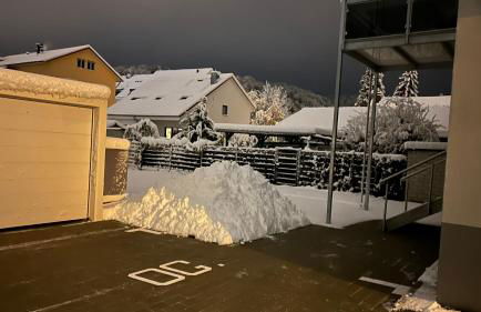 Neusaniertes 3Familienhaus am Bahnhof Wyhlen 7Min von Basel CH - Foto 53