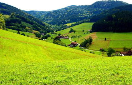 Gemütliches Haus im Herzen des Schwarzwaldes für bis zu 9 Personen - Foto 39