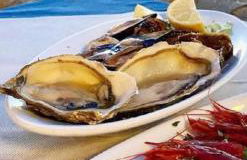 Baia verde 71 - Foto 24