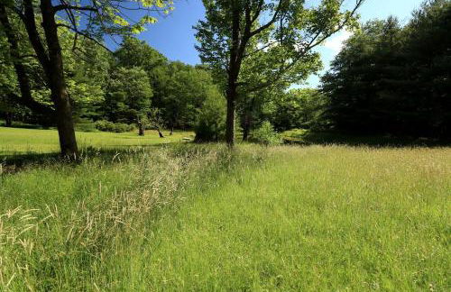 Gorgeous Cottage for Two, Overlooking Pond on 20 acres, Glamping in Pennsylvania - Foto 44