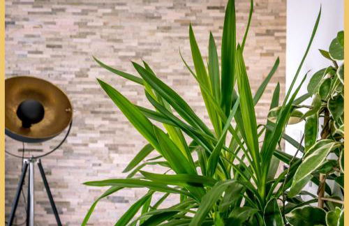 Chez Jordan I T3 I Ferney-Voltaire - Foto 18