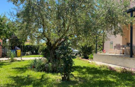 Apartment Gracijana - Photo 6