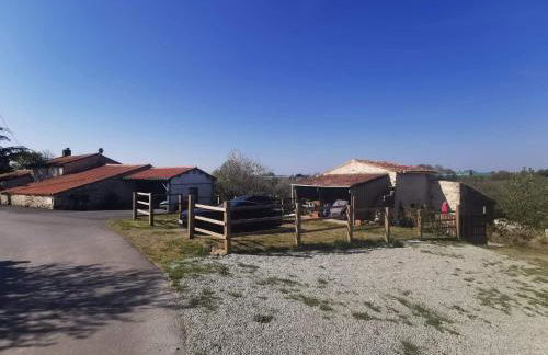 Gite Mimosa - Photo 12