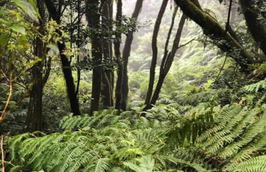 Home2Book El Encanto De la Torre I - Foto 36