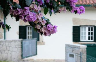 Casa Velha - Foto 12