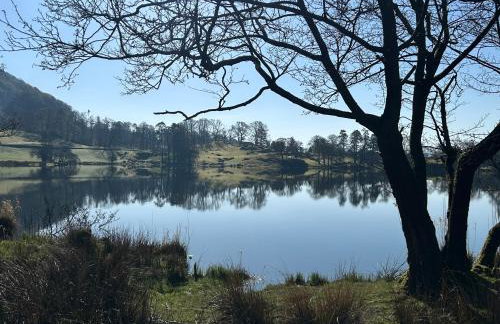 Puddleduck - Foto 29