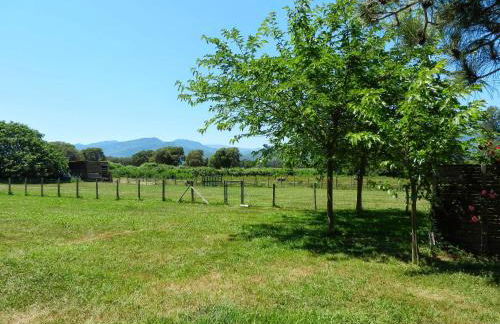 Monica di Sorbo - Foto 8