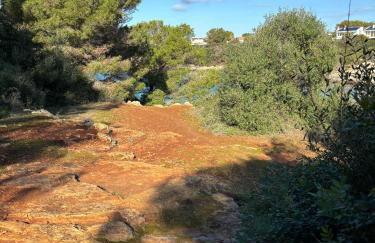 Son Carrió 6 - Foto 17