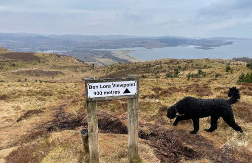 Tawny Owl Pod with Hot Tub - Foto 79
