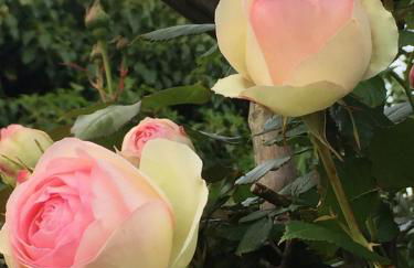 Studio de Charme "Le Coquillage " Jacuzzi privatif - Foto 20